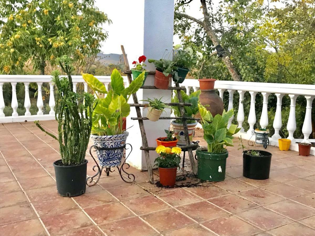 Casa Rural En Constantina Eksteriør billede
